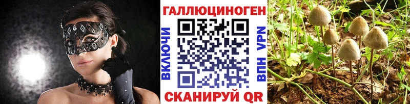 Галлюциногенные грибы ЛСД  Ижевск 